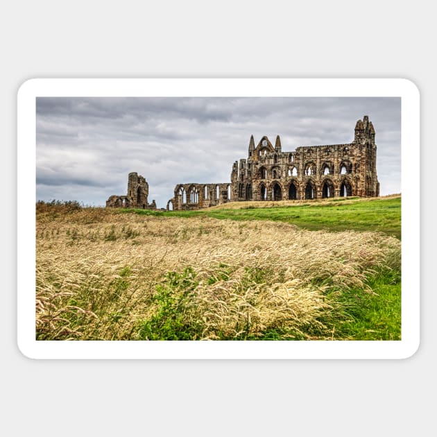 Whitby Abbey Yorkshire, UK, Side View Sticker by tommysphotos